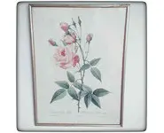 Cadre botanique rose