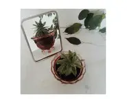 Miroir de barbier - 13 x 18,5 cm