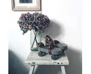 Patins à roulettes vintage