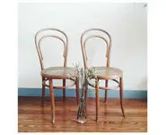 Paire de chaises FISCHEL