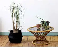 Table basse en rotin