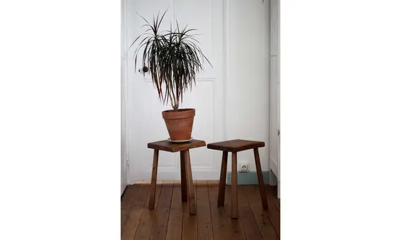 Paire de tabourets tripodes