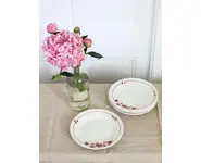 6 assiettes plates style Digoin