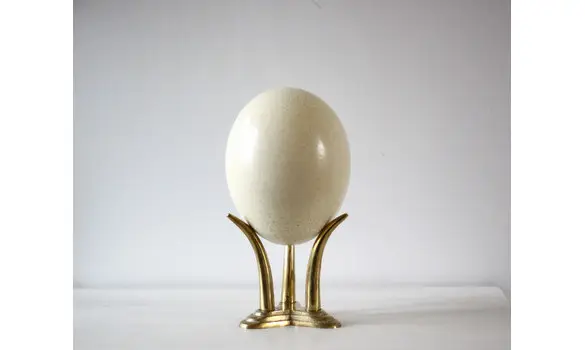 Oeuf d'autruche