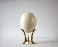 Oeuf d'autruche