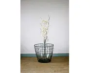 Dame jeanne dans son panier