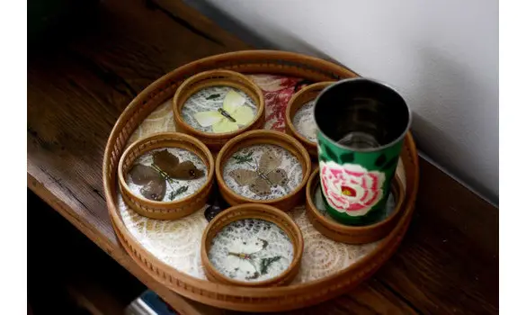 Plateau à sous-bocks papillons