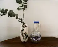 Pichet tropico vintage