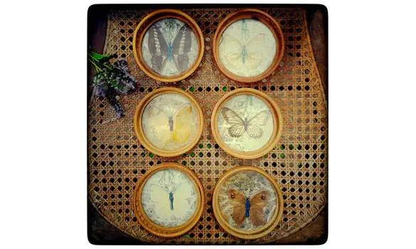 Dessous de verres Papillons