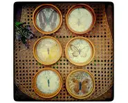 Dessous de verres Papillons