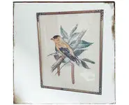 Lithographie d'oiseau encadrée